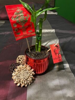 Ceramic Planter -Red